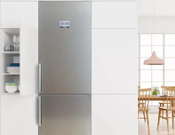 Bosch KGN397LEQ Ψυγειοκαταψύκτης 368lt Total NoFrost Υ203xΠ60xΒ66εκ. Inox - Image 3